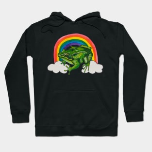 Tropical frog and rainbow Hoodie